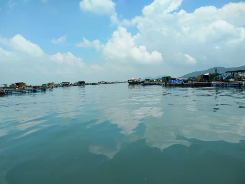 海上用餐