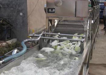 蔬菜清洗流水线